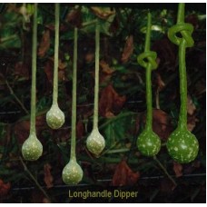 11 Longhandle Dipper fat bulb type