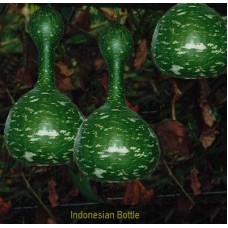 15 Indonesian Bottle (out of Stock)