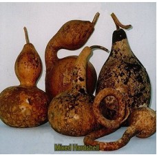 18 Mixed Hardshells seeds