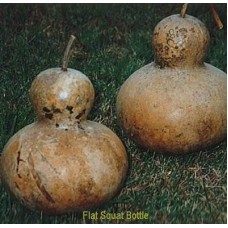 20B Flat Squat Bottle (Out of stock)