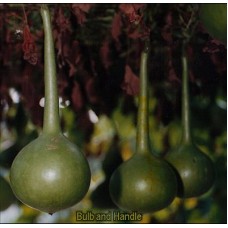 29B Medium Handle Dipper (Shaku-hyo) (Out of stock)