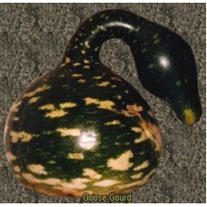 28 Goose Gourd (out of stock)